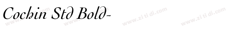 Cochin Std Bold字体转换